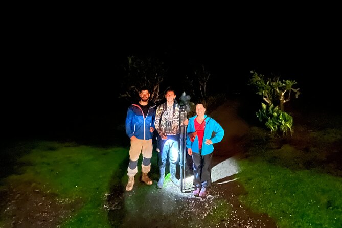 Night Walk Among the Natural Jewels of Monteverde - Discovering Monteverdes Nocturnal Wonders