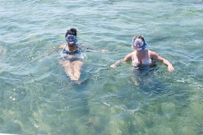 North Bay Snorkel - Local Wildlife and Marine Life