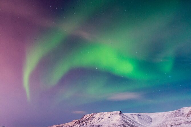 Northern Lights Boat Cruise From Reykjavik - On-board Amenities