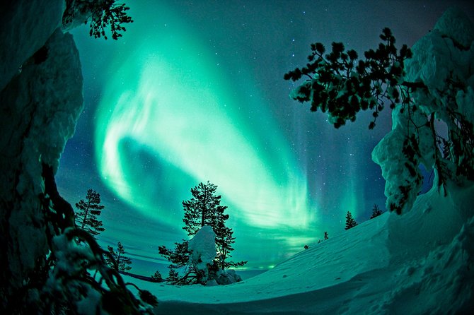 Northern Lights Photography Tour From Rovaniemi - Customer Feedback