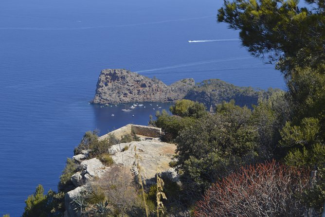 Northwest Mallorca Half-Day Food, History, Philosophy Tour  - Palma De Mallorca - Taste of Local Delicacies