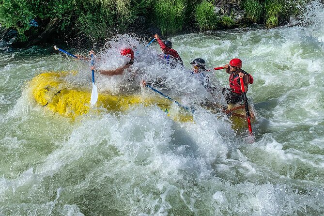 Nugget Falls Class IV Half-Day Rafting on the Rogue River - Pricing and Booking Information