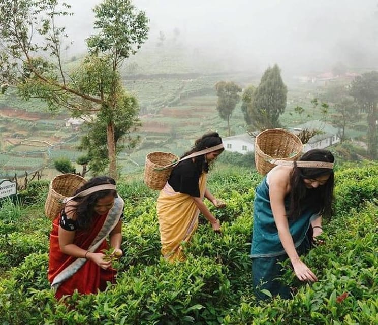 Nuwara Eliya Day Tour From Kandy (Private Tour) - Tour Inclusions