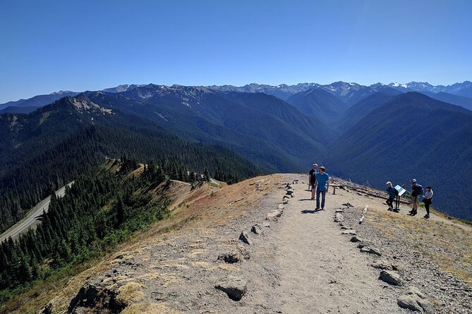 Olympic National Park - Private Luxury Day Tour With Lunch - Guided Nature Walks