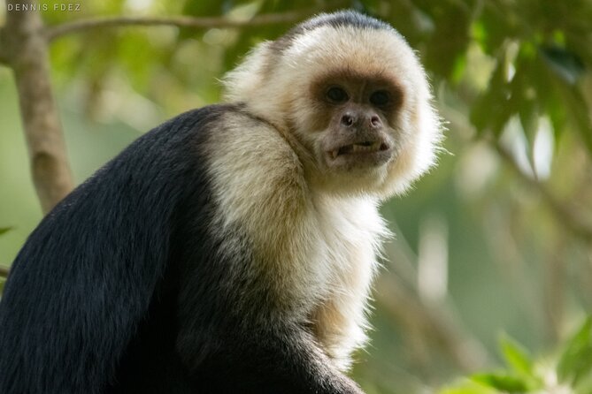 One Day Of Nature in Monteverde - Traveler Feedback