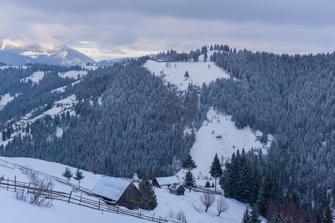 One Day Tour to Bran Castle and Hiking in Piatra Craiului National Park - Scenic Vistas and Viewpoints