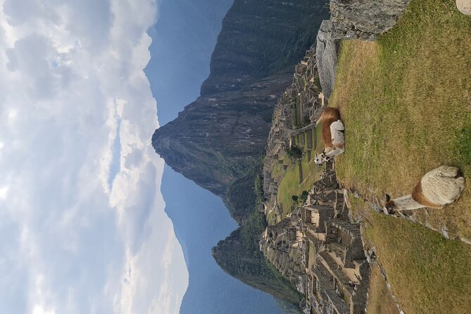 One Day Tour to Machu Picchu Private Service - Preparation and Requirements