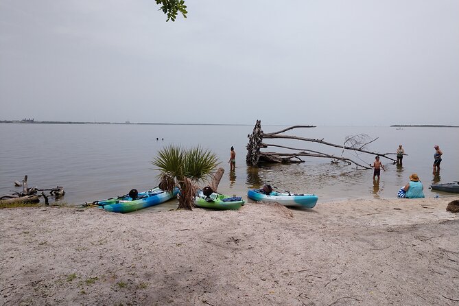 One Tandem Kayak Rental for 2 Hours With Manatee & Dolphin Sightings! - Accessibility Features