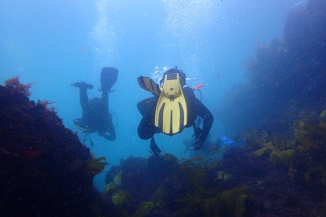 Open Water Diver Course in Arrabida Natural Park (Near Lisbon) - Included Equipment and Amenities