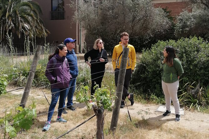 Organic Wine Tasting and Local Food Tour in Valparaiso, Full Day - Exploring Valparaisos Charming Neighborhoods