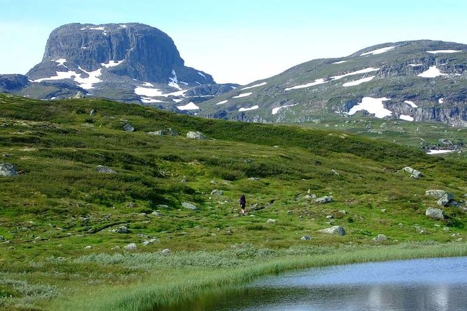 Oslo To Sognefjord Private Full Day Roundtrip Including Flam Railway - Navigating the Bergen Railway Journey