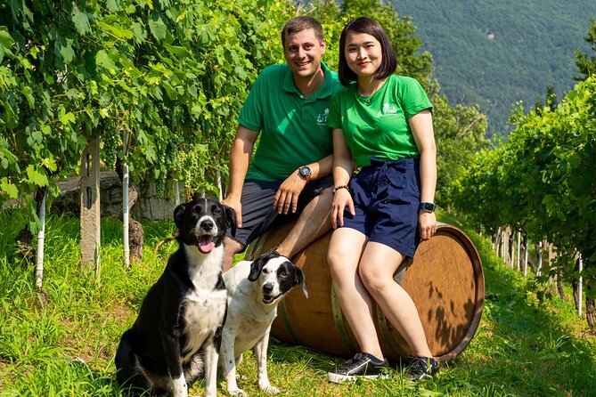 Ossola Valley Winery Tour With Tastings - Strolling Through Historic Vineyard Landscapes