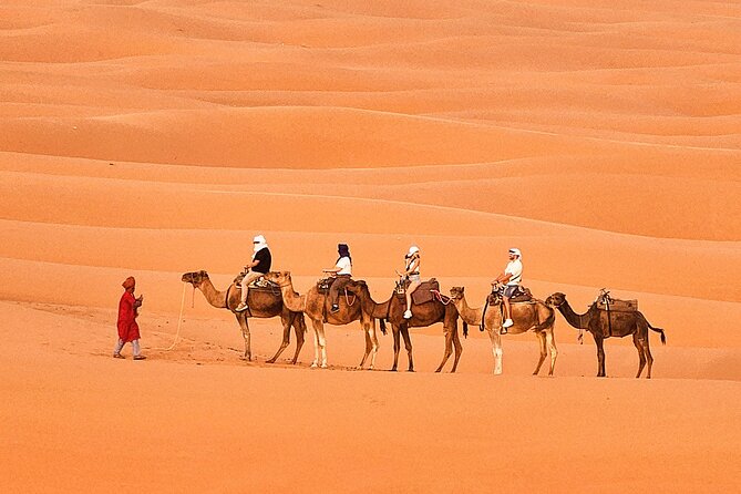 Overnight Camp Camel Trekking In Merzouga - Activities During Your Stay