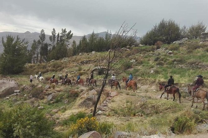 Overnight Tour: Colca Canyon Including Horse Riding From Arequipa - Practical Considerations