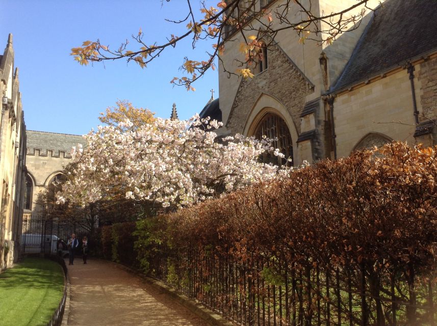 Oxford: Simply Oxford University Walking Tour - Meeting Point and Logistics