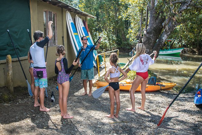 Paddle Board Mangrove Tour - Customer Feedback and Notable Guides
