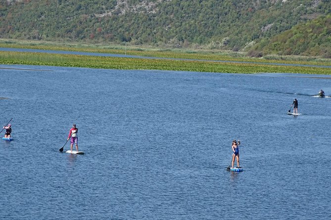 Paddleboard (SUP) Tour on Crnojevic River to Skadar Lake - Exploring Crnojevic River