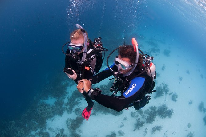 PADI Advanced Open Water Diver Course @ Anilao Batangas - Accommodation and Meals