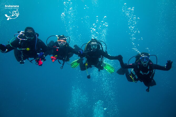 PADI Advanced Open Water Diver Course (AOWD) - Customer Reviews
