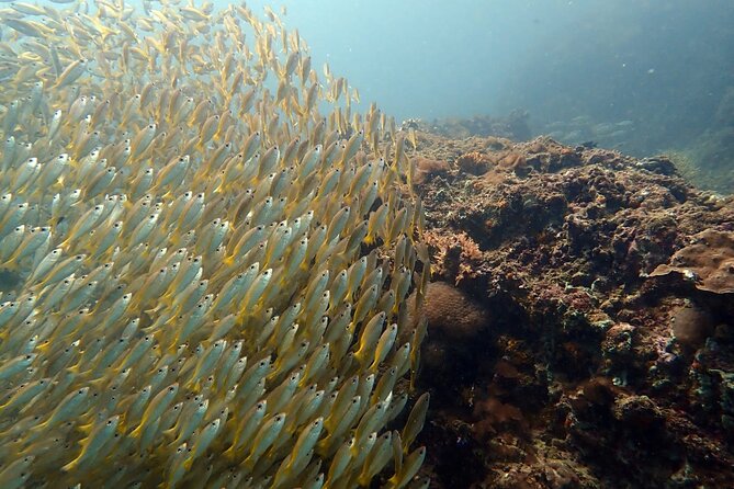 PADI Discover Scuba 2 Times Diving Phuket - Training and Certification Process