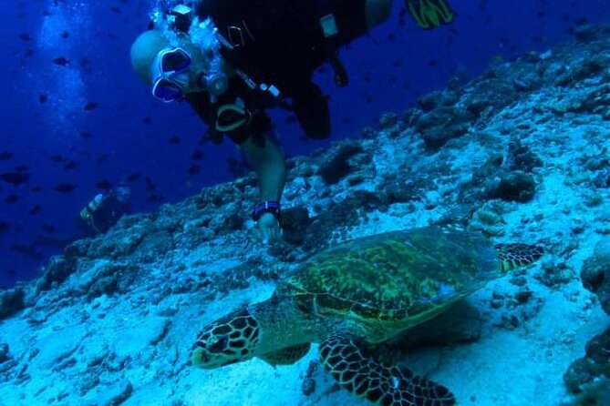 PADI Scuba Lesson and Shore Dive in Maui - Pricing and Cancellation Policy