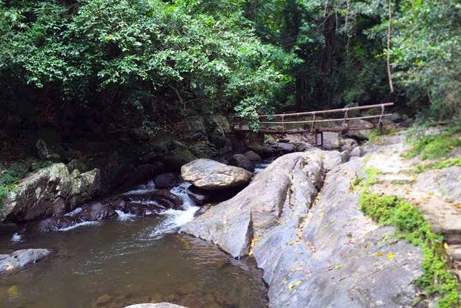 Pala U Waterfall in Kaeng Krachan Jungle With Private Guide From Hua Hin - Whats Included in the Tour