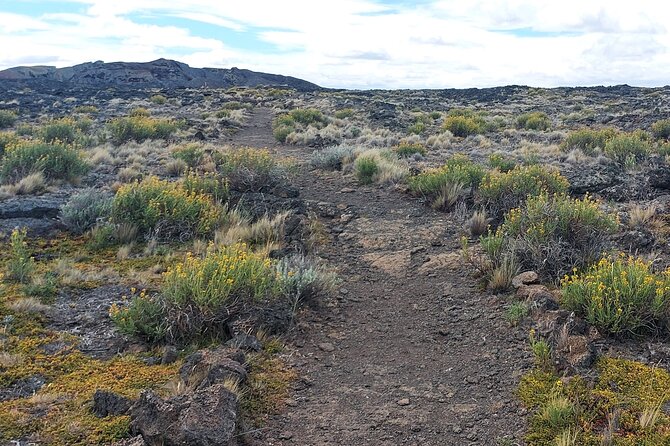 Pali Aike Full-Day Adventure From Punta Arenas - Tour Inclusions