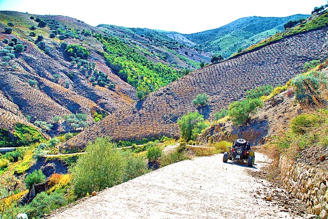 Panoramic Buggy Tour From Malaga - Scenic Landscapes