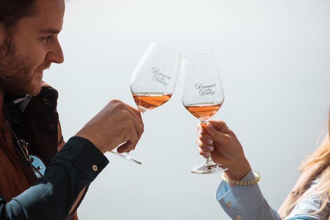 Panoramic Wine Tour From Lausanne - Traveler Feedback