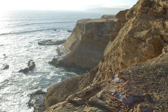Paracas Full Day: Islas Ballestas, National Park and Sandboarding in Paracas - Exploring Islas Ballestas