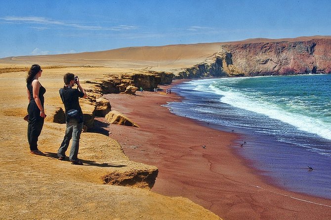 Paracas Reserve & Ballestas Islands Tour From Lima - Private Trip - Pricing and Discounts