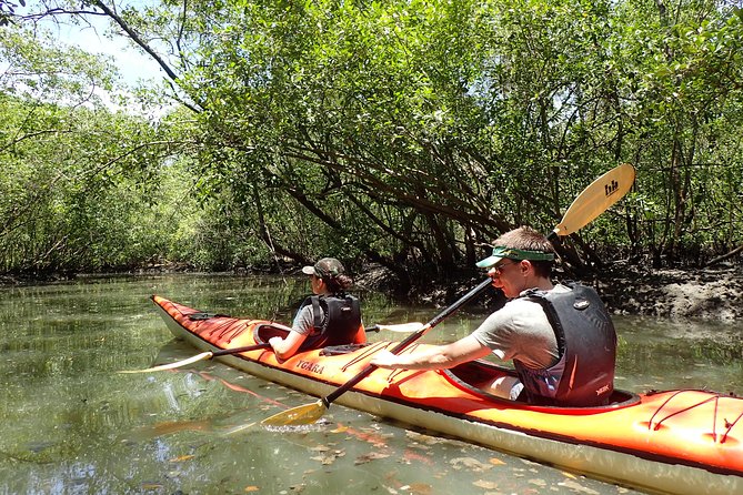 Paraty Sea Kayak Trip (2 Days) - Itinerary Day 1