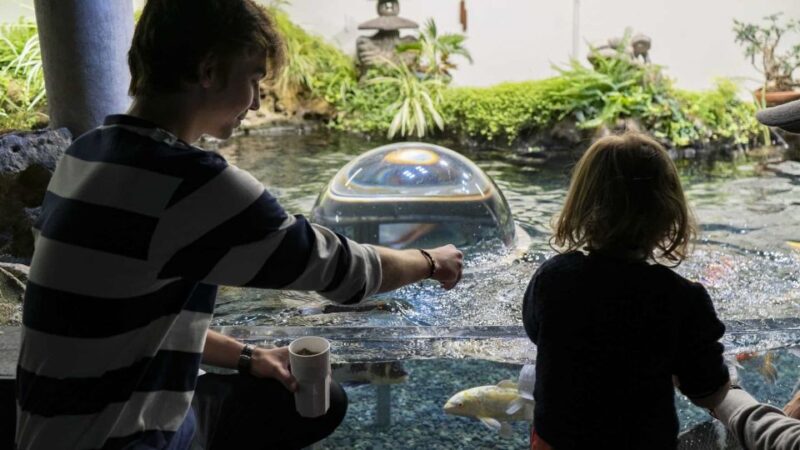 Paris: Aquarium Entry Ticket & Self-Guided Eiffel Tower Tour - Accessibility and Requirements