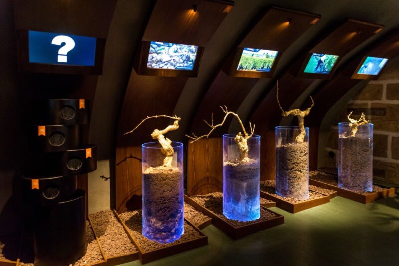 Paris: Wine Museum Guided Tour With Wine Tasting - Inclusions and Exclusions