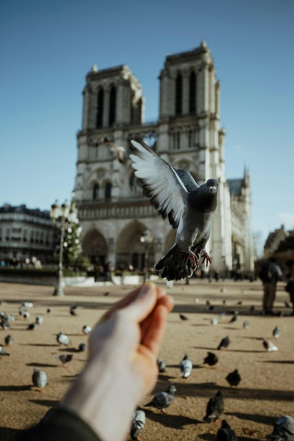 Parisian Promenade: Exclusive Private Walking Tour - Inclusions