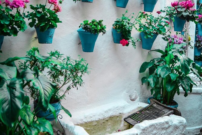 Patios Tour in Cordoba - Palace History and Legends