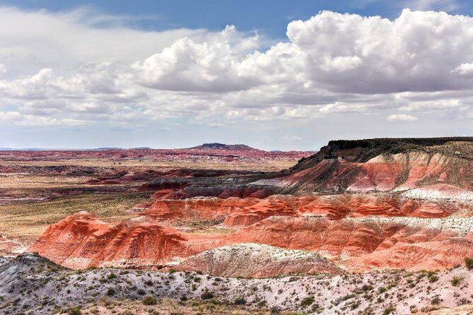 Petrified Forest National Park Self-Guided Driving Audio Tour - Pricing and Booking