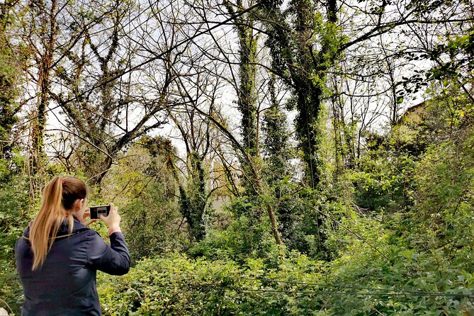 Photography Route Through the Secret Nature of Barcelona - Photography Opportunities