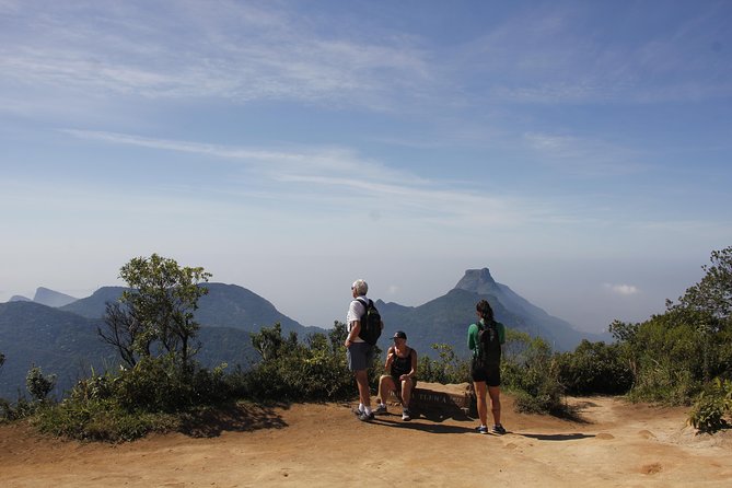 Pico Da Tijuca Hiking Tour in Tijuca Forest National Park - Private Tour With Transport