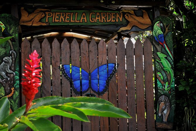 Pierrela Rain Forest - Planning Your Visit