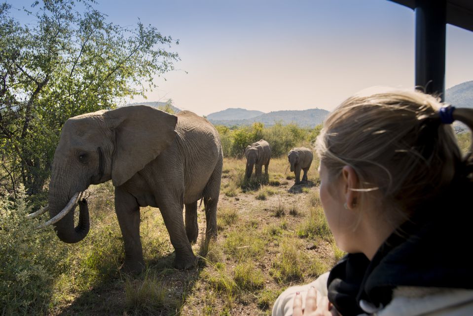 Pilanesberg: Two-Day Camping Adventure From Johannesburg - Inclusions and Whats Covered