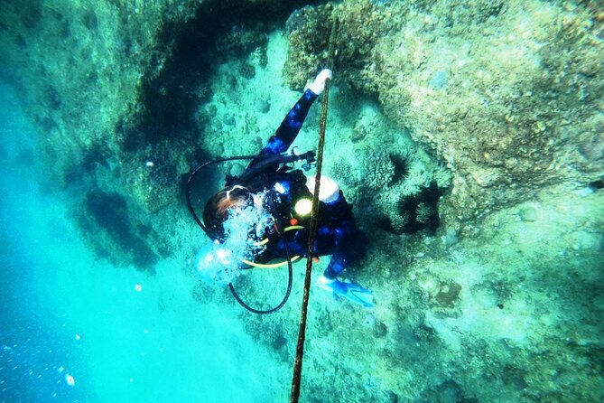 Pleasure Scuba Diving in Fujairah for Certified Diver - Mastering Scuba Diving Techniques