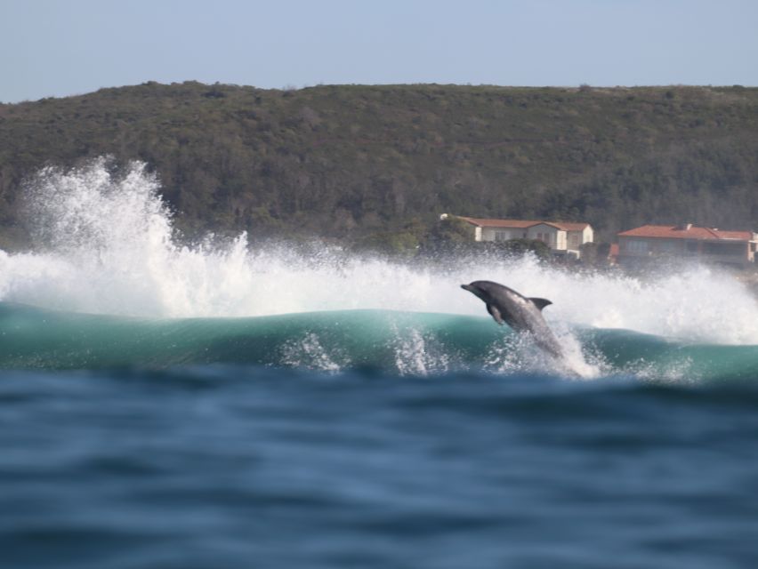 Plettenberg Bay: Dolphin and Marine Boat Tours - Geological Highlights