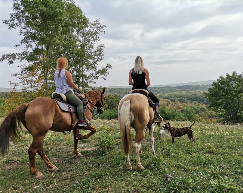 Plitvice - Choose Your Adventure! From Split & Trogir Area - Plitvice Lakes National Park