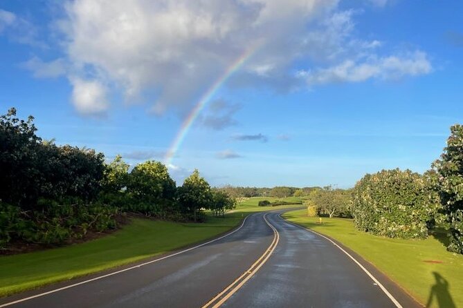Poipu and Koloa E-Bike Scenic Tour - Tour Highlights and Features