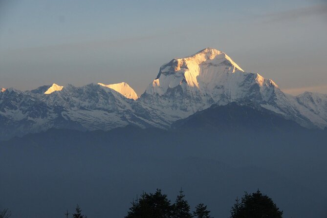 Pokhara: Poon Hill Ghorepani Short Trek - Day 3: Ghorepani to Poon Hill