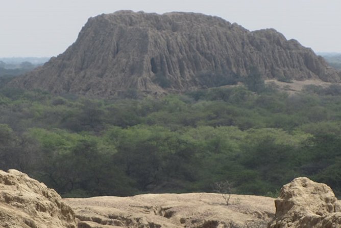 Pomac Forest Historic Sanctuary & Sican Museum - Important Notes