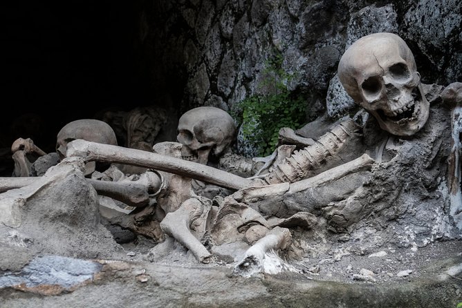 Pompeii and Herculaneum Small Group Tour - Skip the Line - Accessibility Features