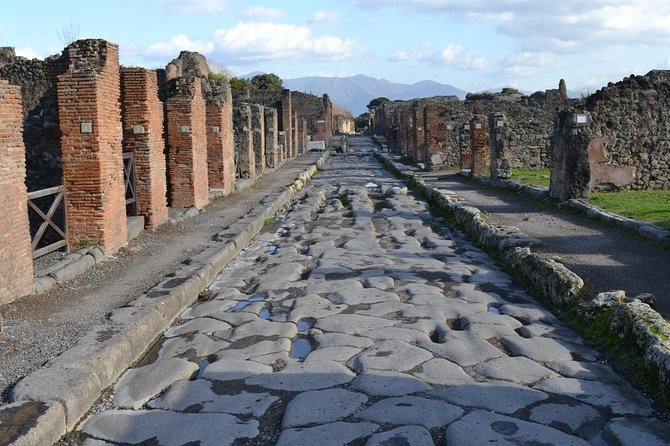 Pompeii the Ancient City (Tour+Transfer) - Exploring Pompeiis Highlights