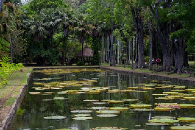 Port Louis and the North - a Full Day Trip - Pricing and Booking